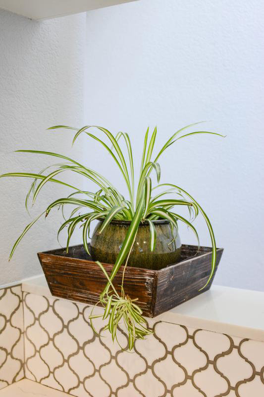 World Menagerie Stained Washed Manufactured Wood Crate & Reviews Wayfair